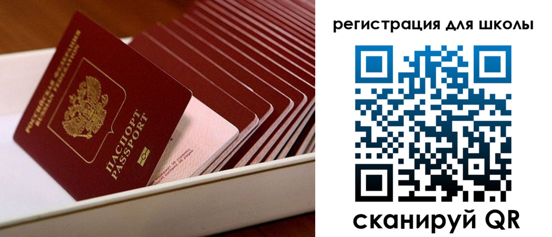 прописка гарантия в Кореновске